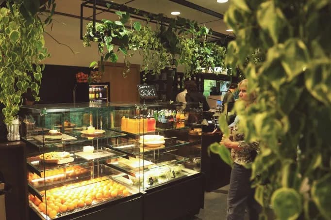 Gdzie zjeść w Łazienkach Królewskich: najlepsze restauracje i kawiarnie